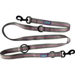 Dog & Co 6 In 1 Sports Training Lead Pink 1" X 72" Hem & Boo